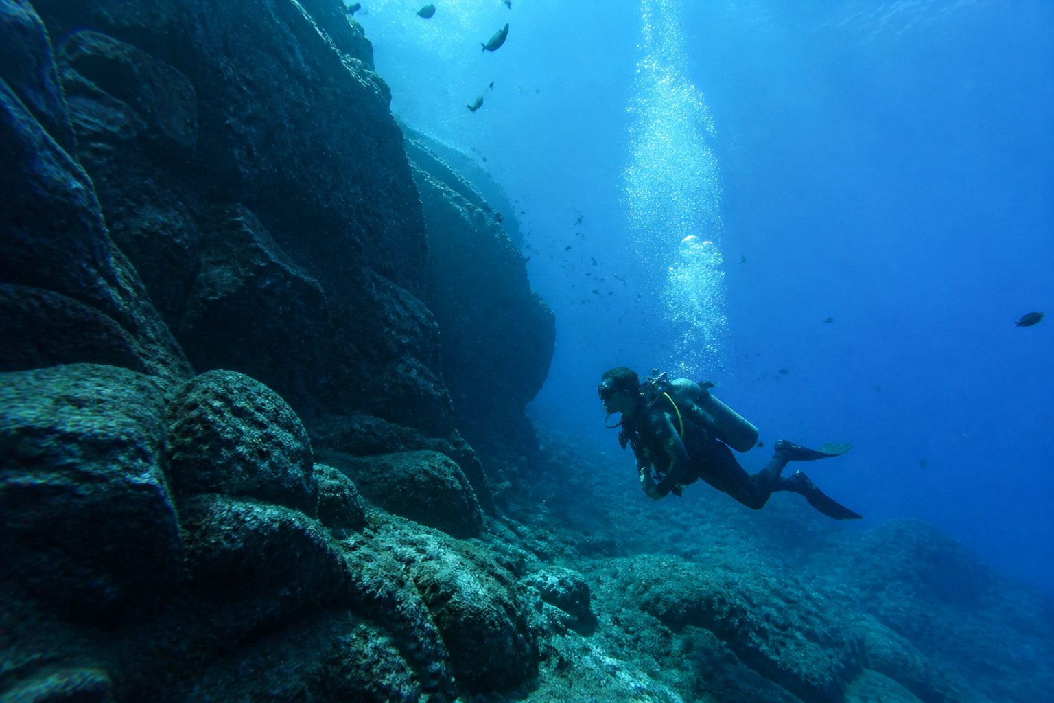 Diver above a volcanic reef in the Azores Atlantic