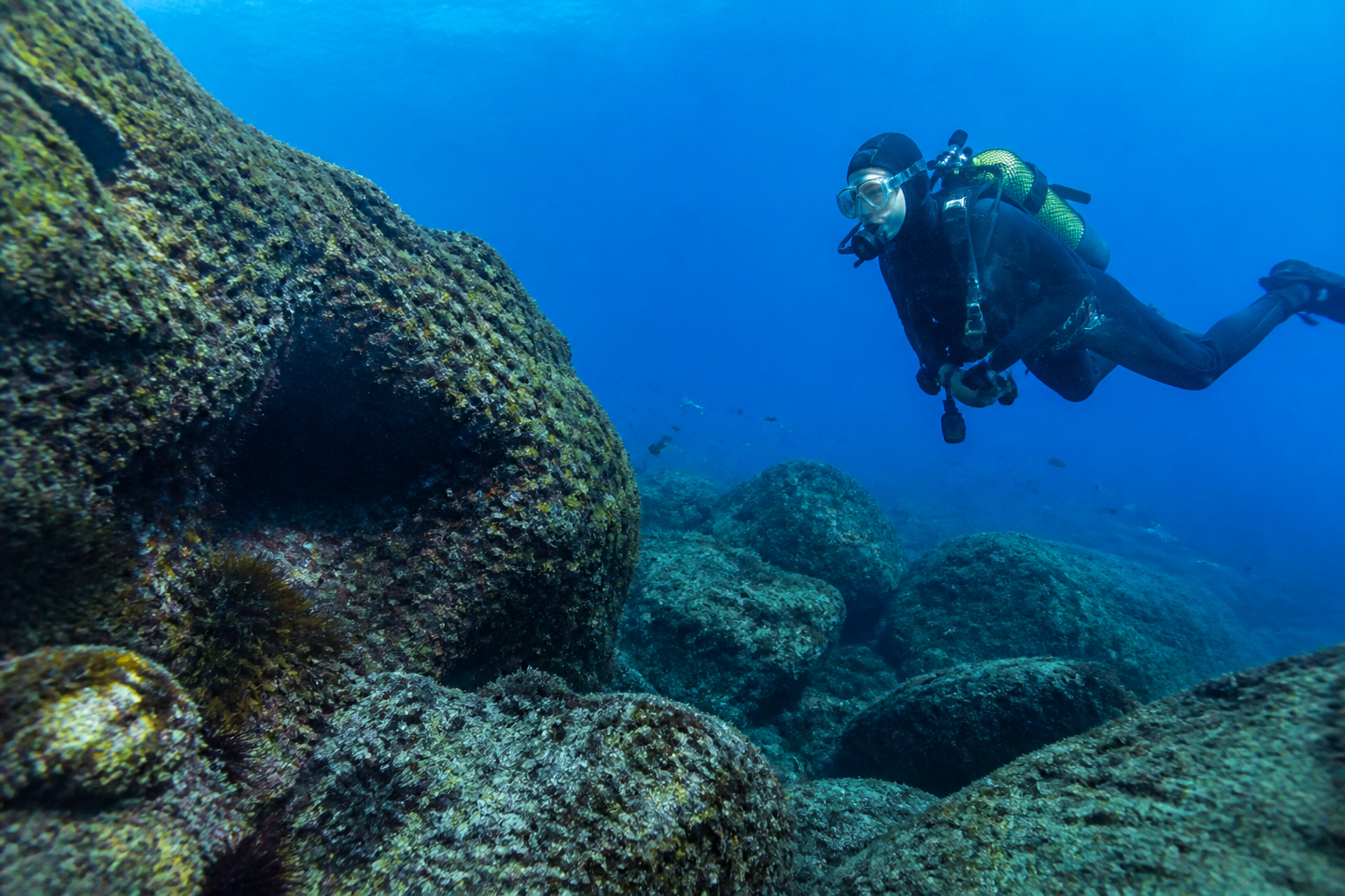 Scuba diving in Spain — Canary Islands and Mediterranean reefs