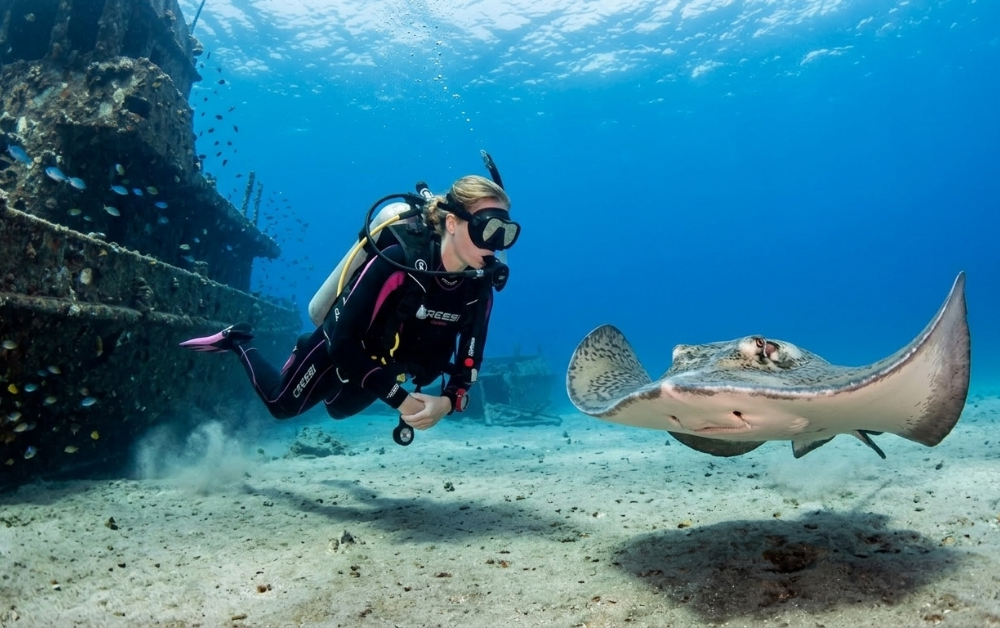 Stingrays at Los Chuchos Tenerife