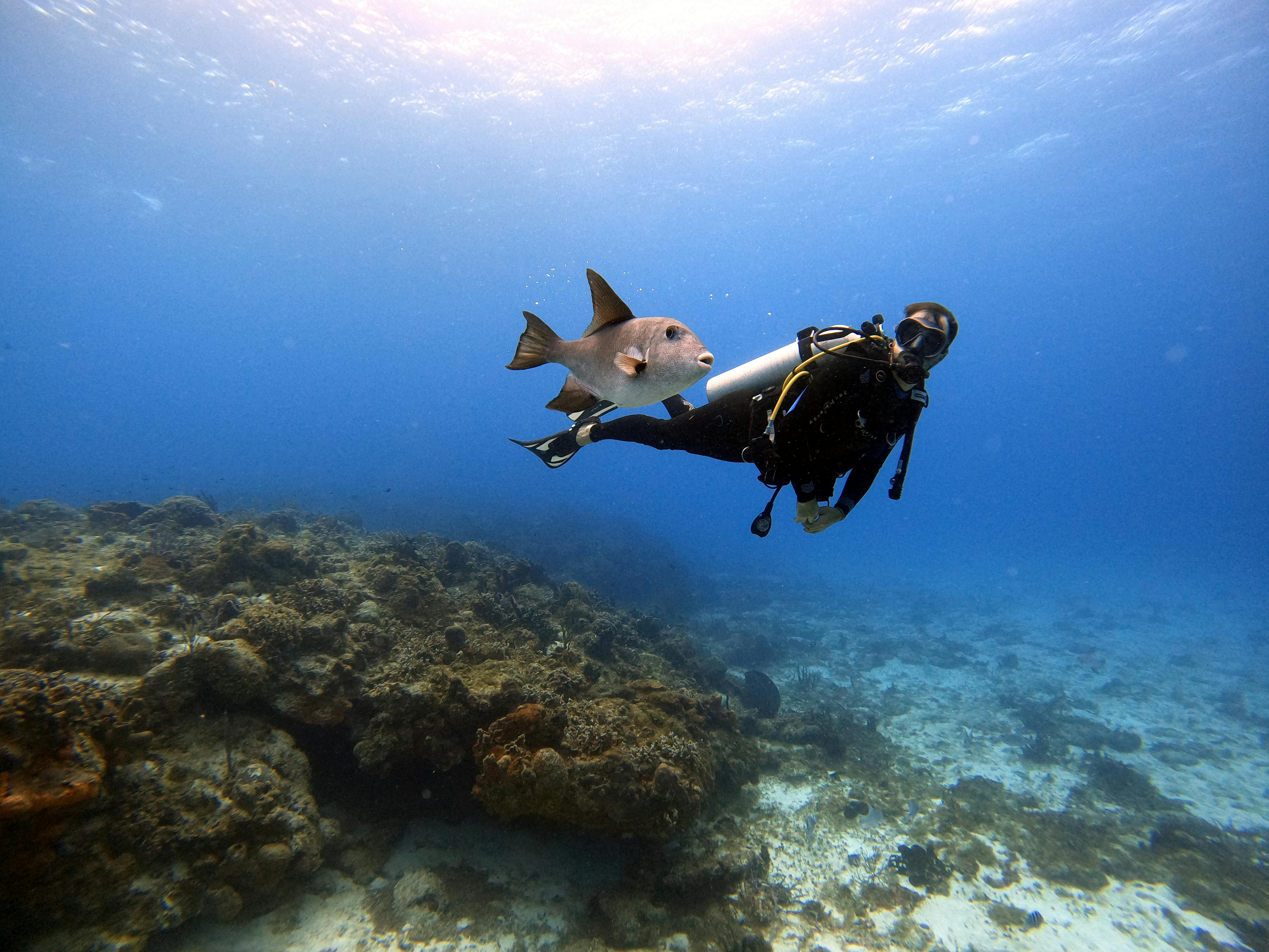 Scuba diving in Cebu