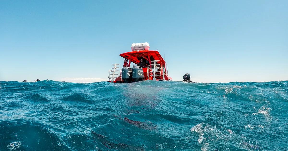 Scuba divers at the surface beside a dive boat