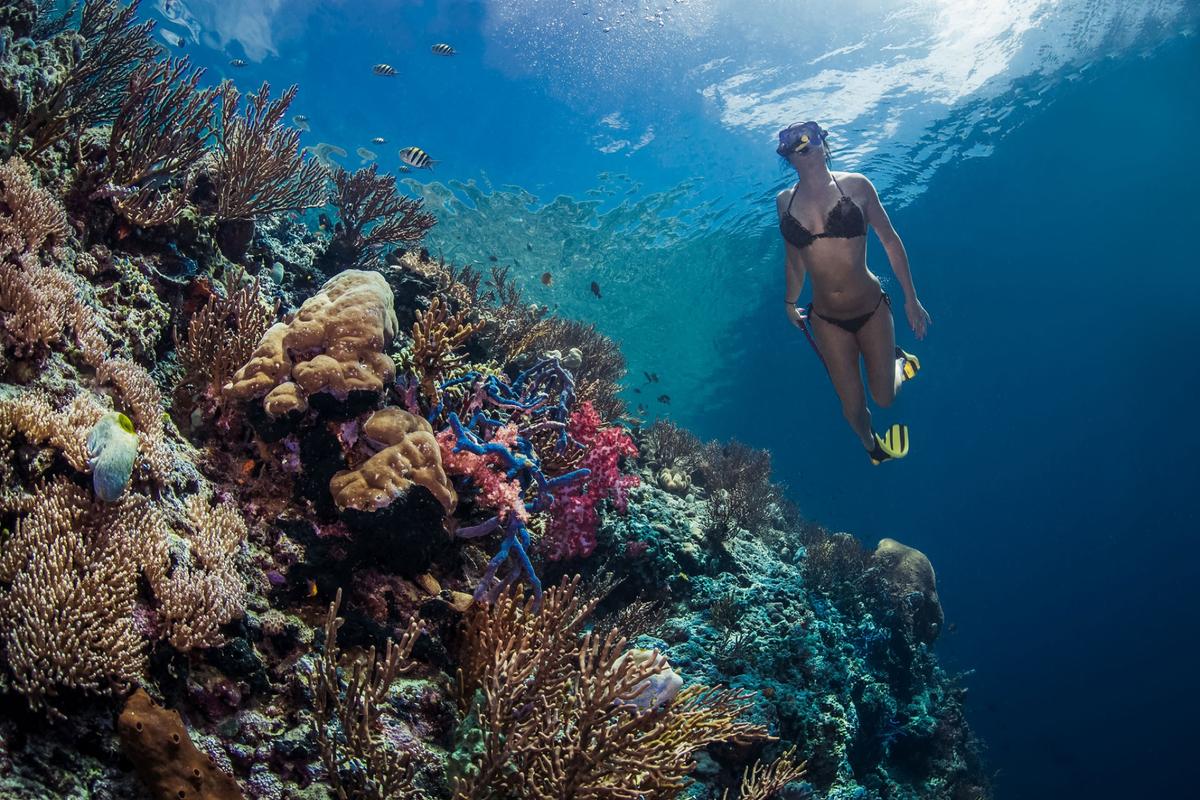 Snorkeler floating over a colorful coral reef in east Bali