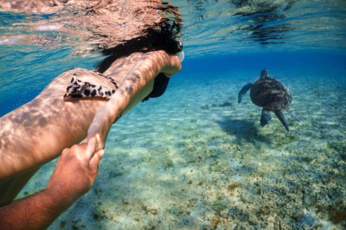 Snorkeler swimming above a green sea turtle in Green Bay, Cyprus