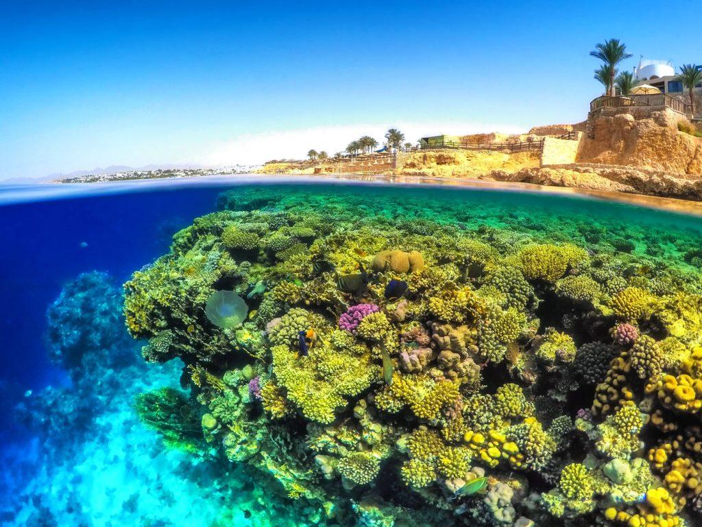 Split-level shot of a shallow coral reef and the Sharm El Sheikh coastline, Red Sea, Egypt
