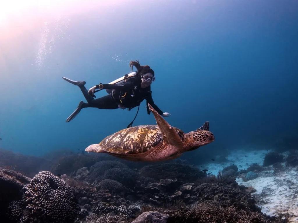 Diver swimming alongside a sea turtle over the reef in Komodo National Park, Indonesia